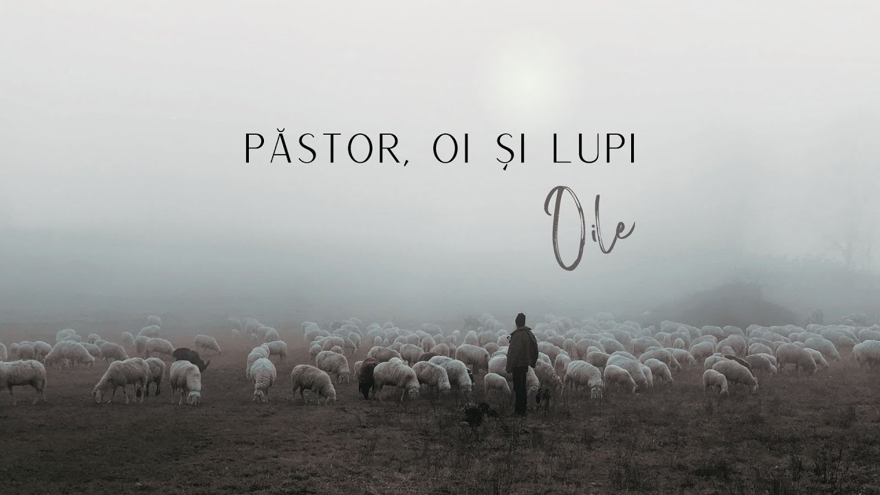 Imagine din predica „Păstor, Oi și Lupi — Oile”