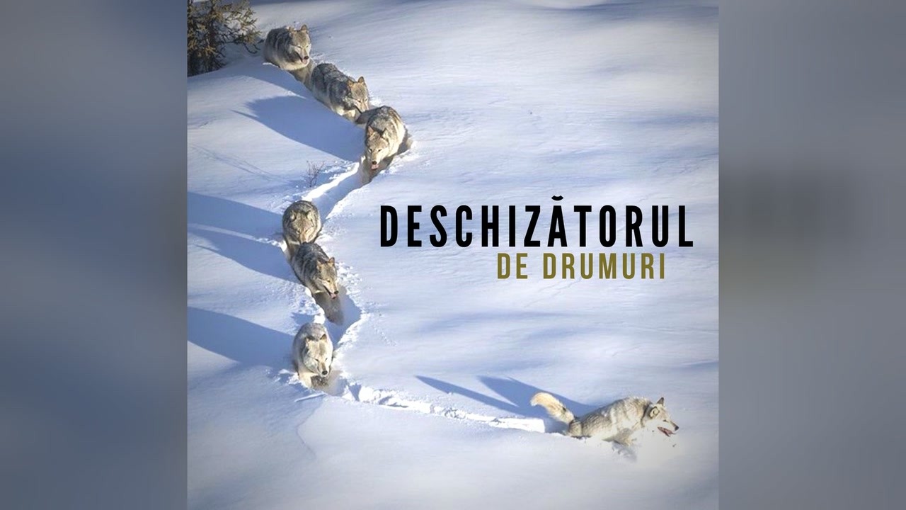 Imagine din predica „Deschizătorul de drumuri”