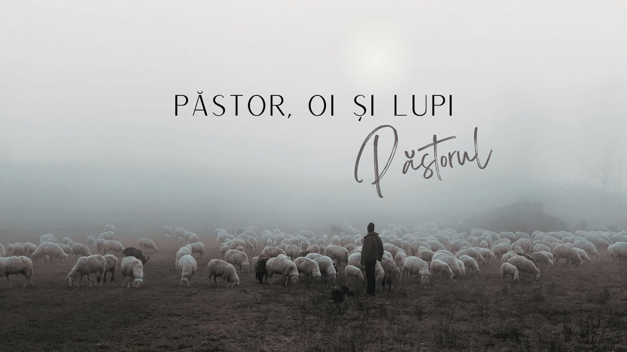 Imagine din predica „Păstor, oi și lupi”