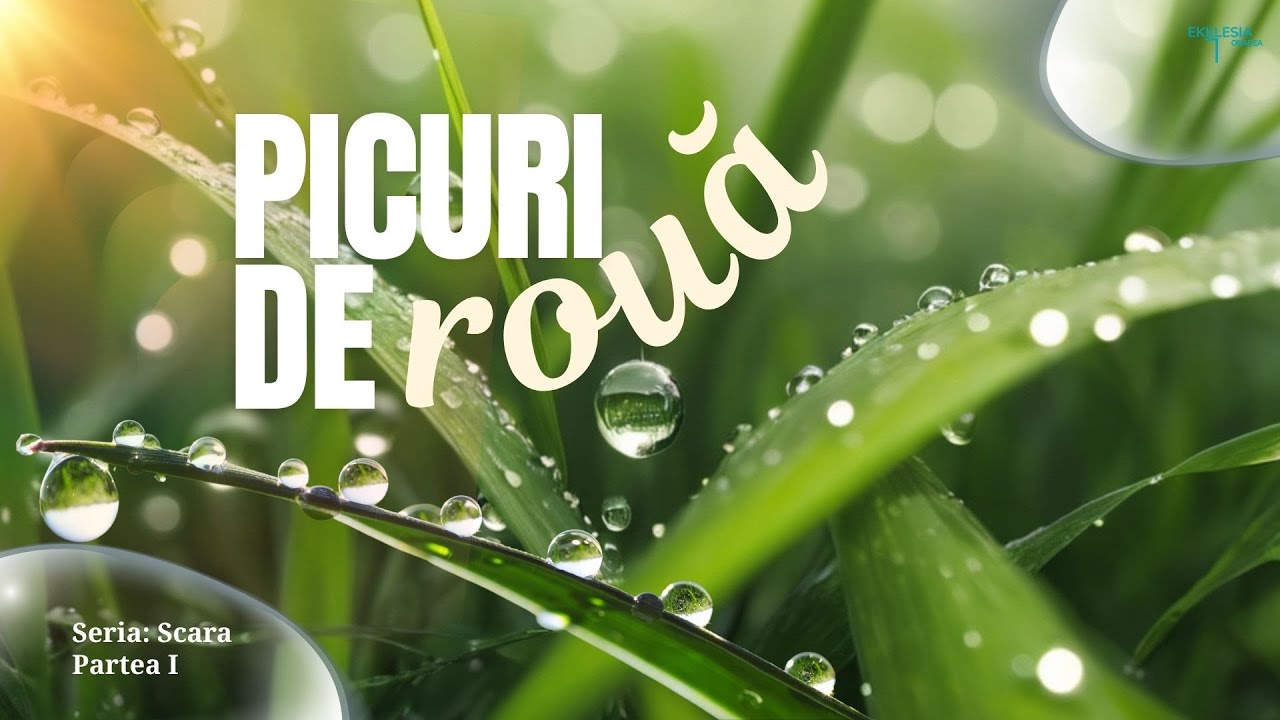 Imagine din predica „Picuri de rouă — Partea I”