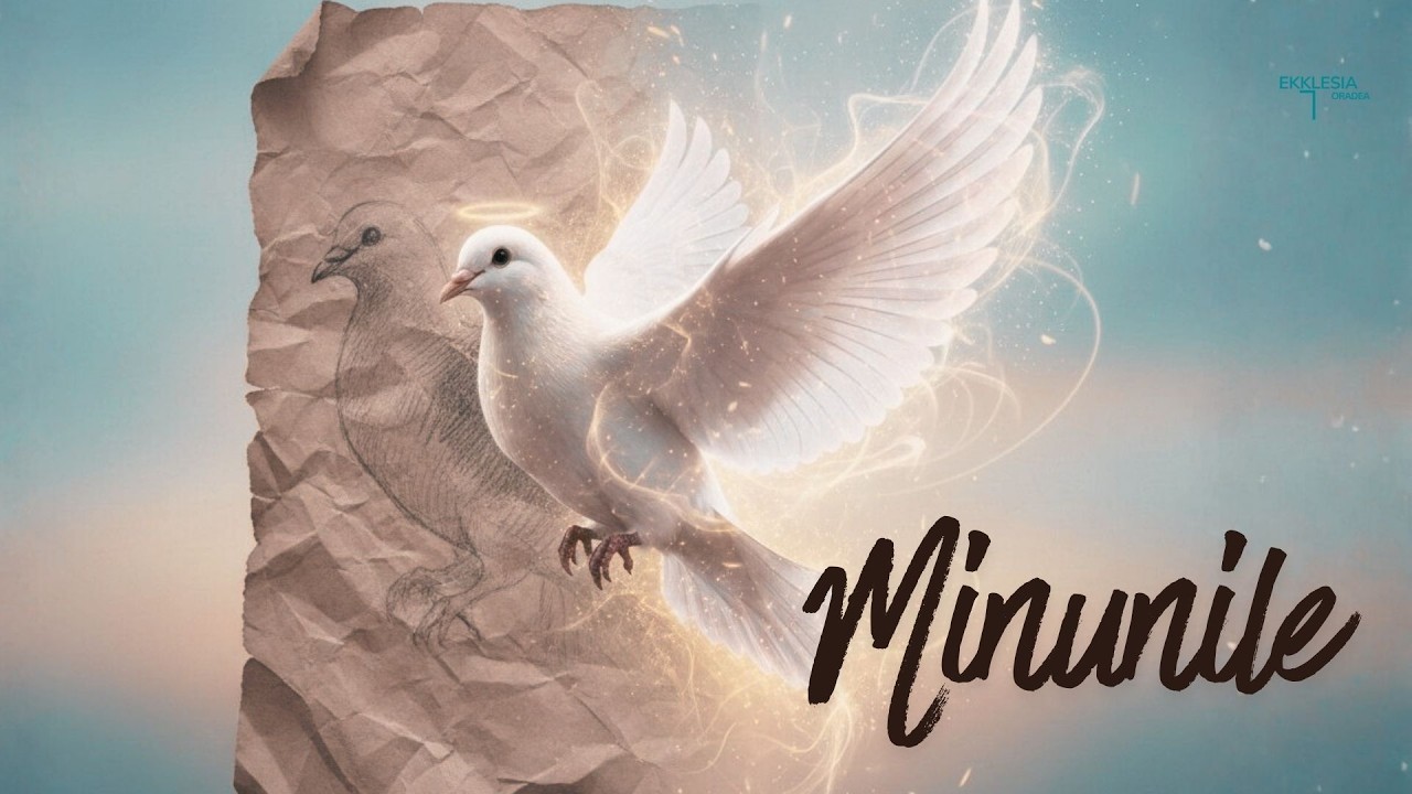 Imagine din predica „Minunile”