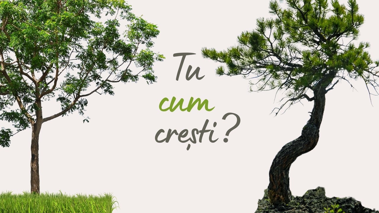 Imagine din predica „Tu cum crești?”
