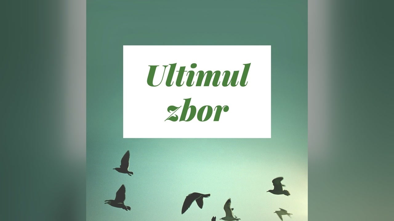 Imagine din predica „Ultimul zbor”
