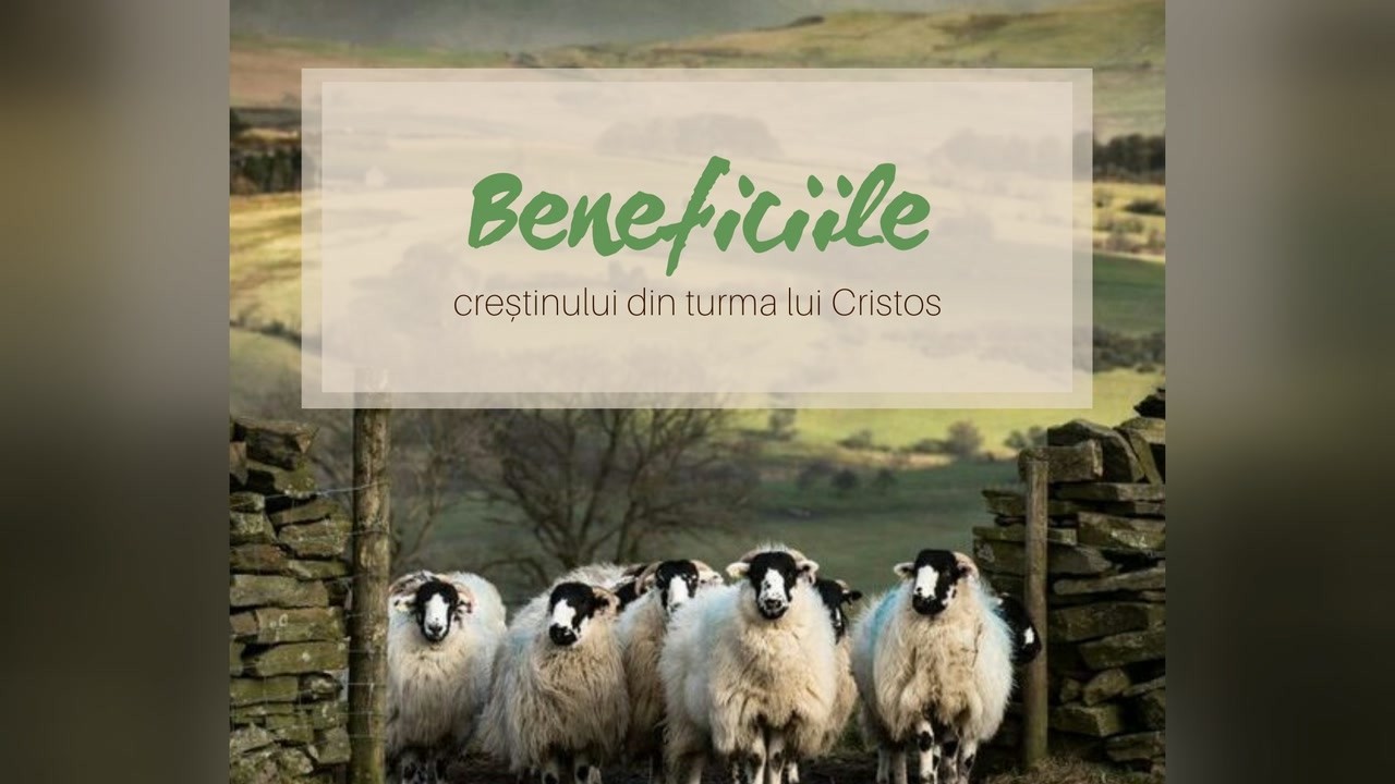 Imagine din predica „Beneficiile creștinului din turma lui Cristos”