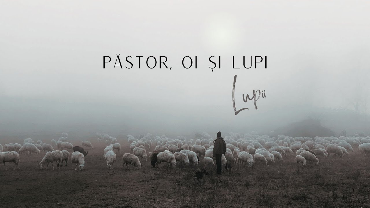 Imagine din predica „Păstor, oi și lupi — Lupii”