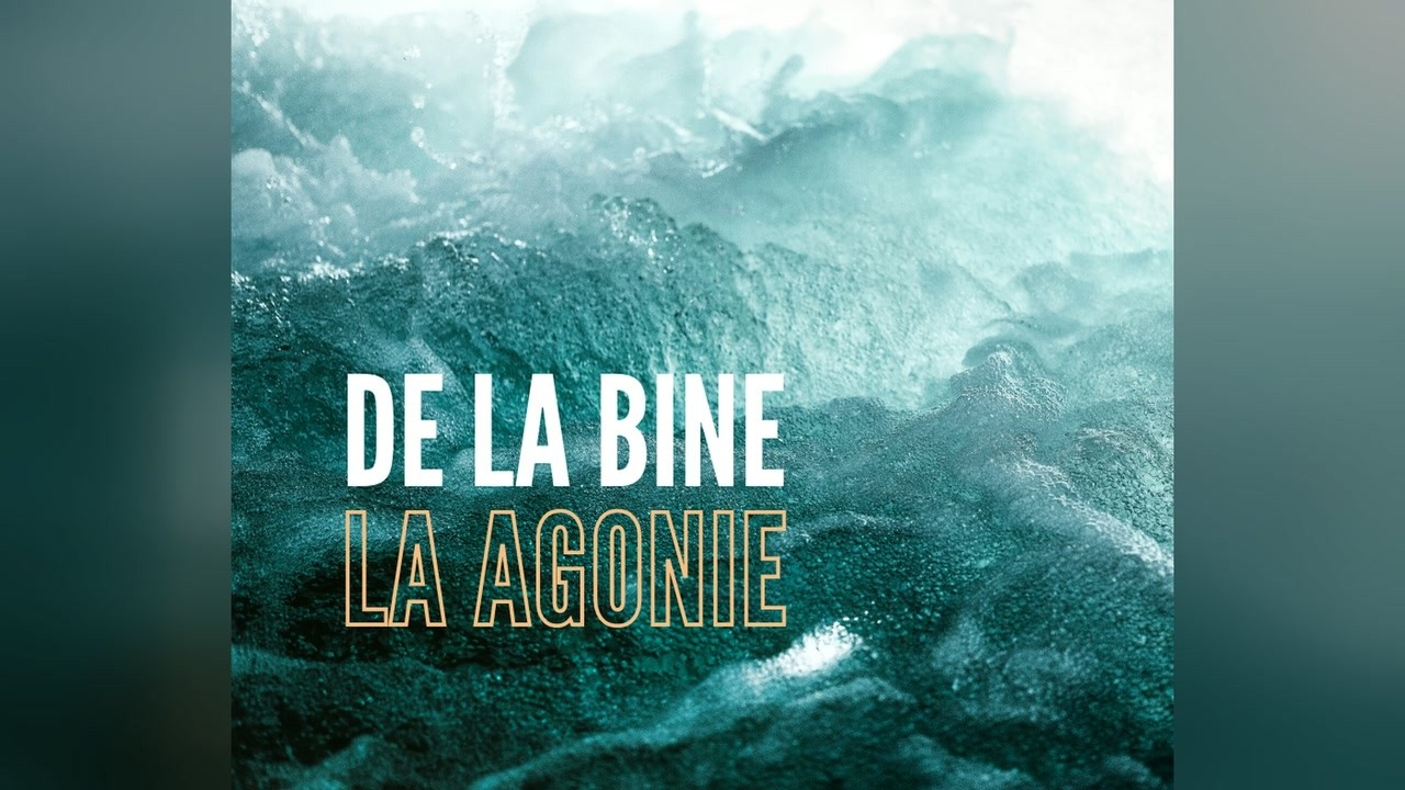 Imagine din predica „De la bine la agonie”