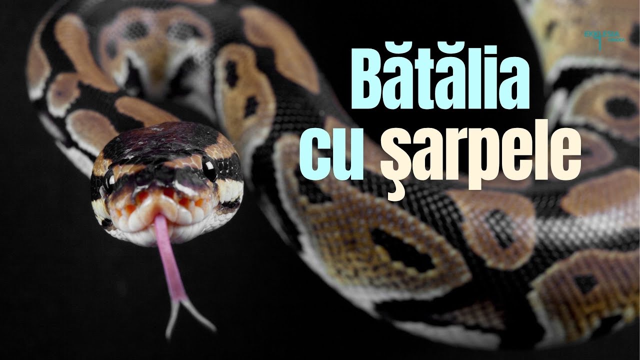 Imagine din predica „Bătălia cu șarpele”