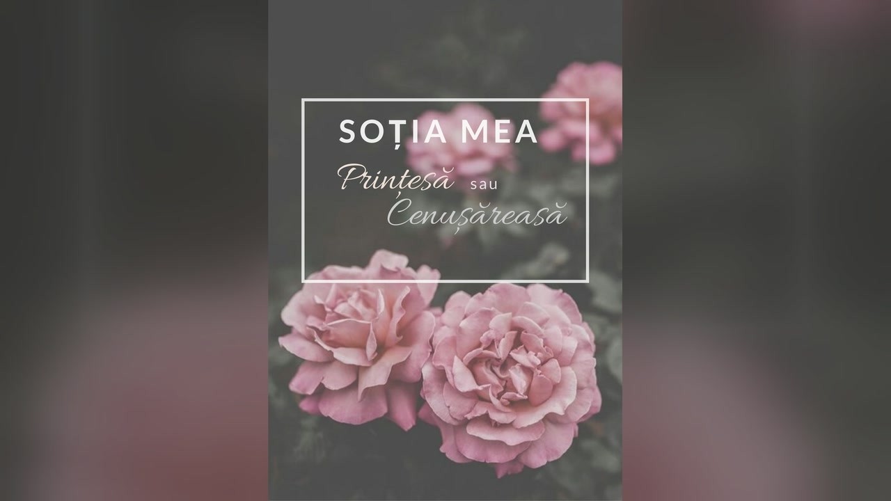 Imagine din predica „Soția mea: Prințesă sau Cenușăreasă?”